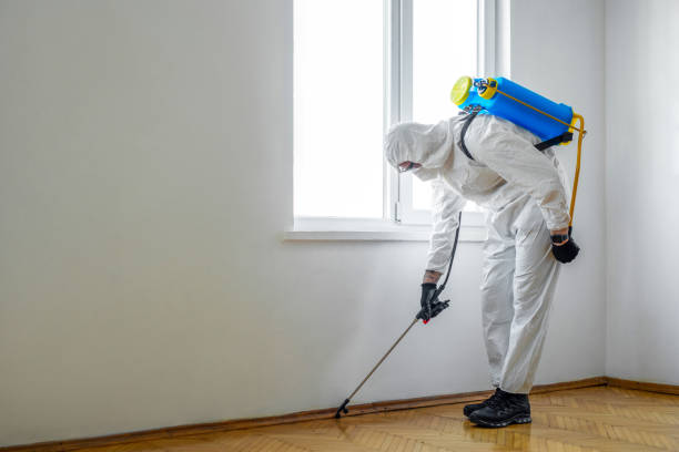 Wasp Removal Services in Plumsteadville, PA