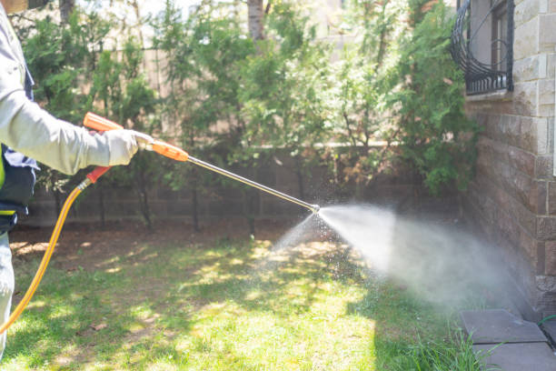 Best Termite Control Services  in Plumsteadville, PA