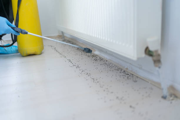 Best Affordable Pest Control Services  in Plumsteadville, PA