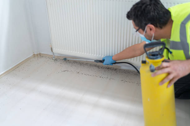 Best Best Pest Control Companies  in Plumsteadville, PA