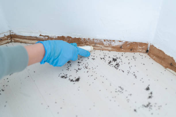 Plumsteadville, PA Pest Control Company