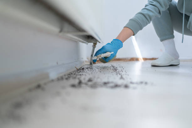 Best Bed Bug Extermination  in Plumsteadville, PA